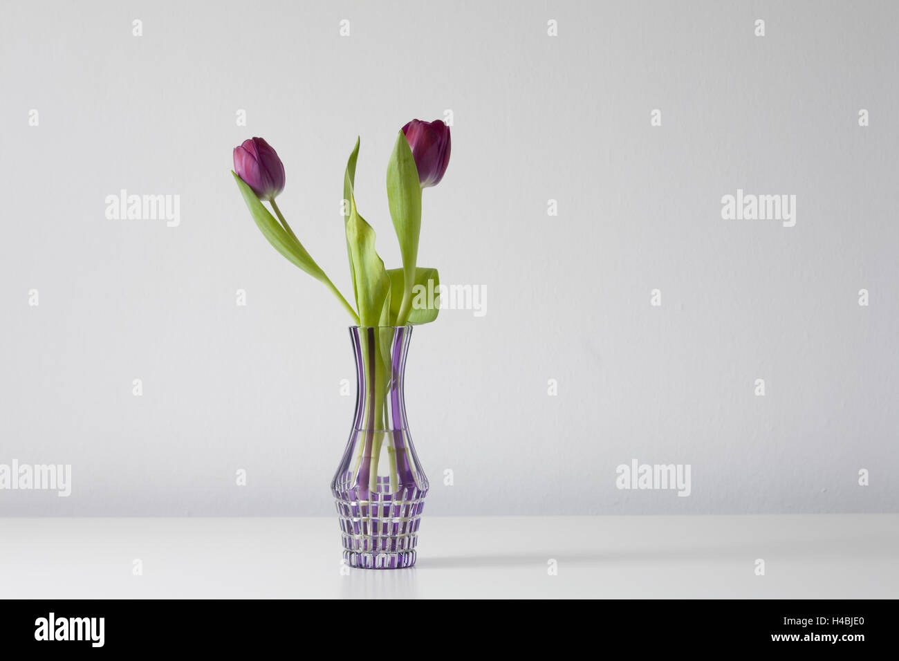 Flower Vase, rote Tulpen, Stockfoto