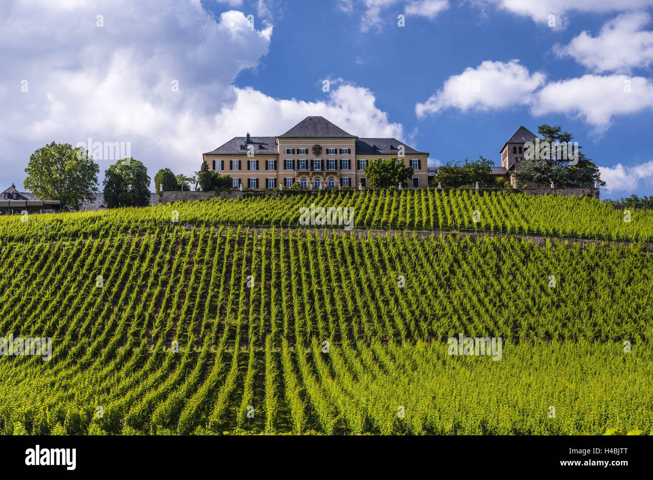 Deutschland, Hessen, Rheingau (Region), Geisenheim (Dorf), Johannisberg District gelegen, mit Weinbergen Schloss Johannisberg, Stockfoto