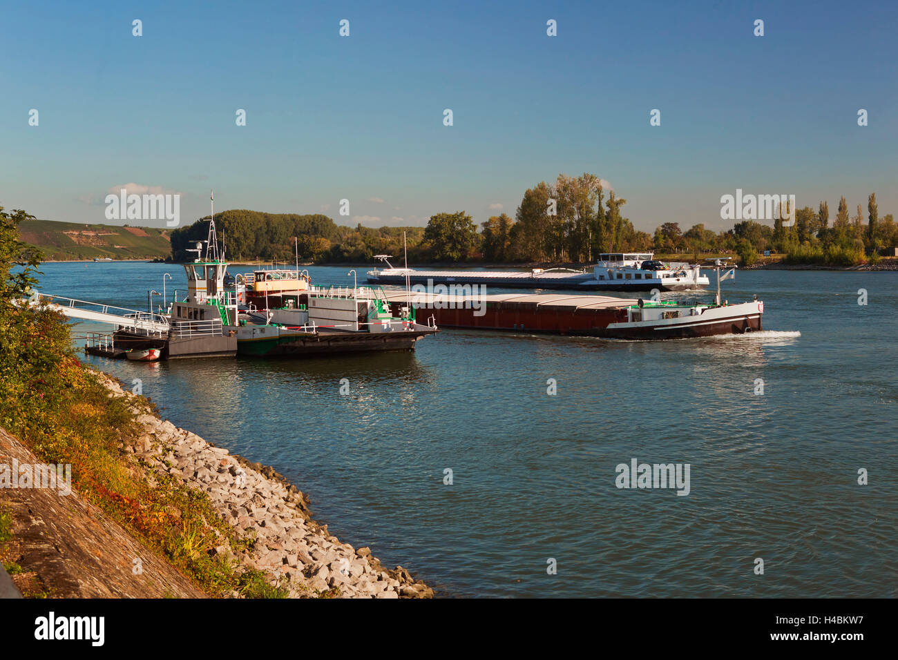 Deutschland, Rheinhessen, Oppenheim am Rhein, Fähre, Stockfoto