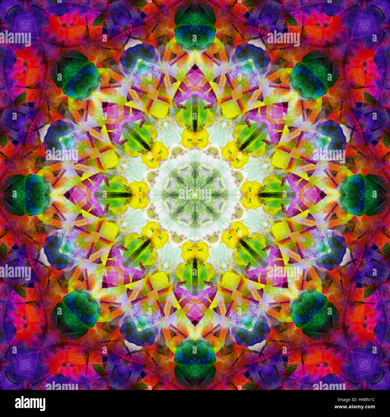 eine energetische symmetrischen Onament aus Blumen Fotos Stockfoto