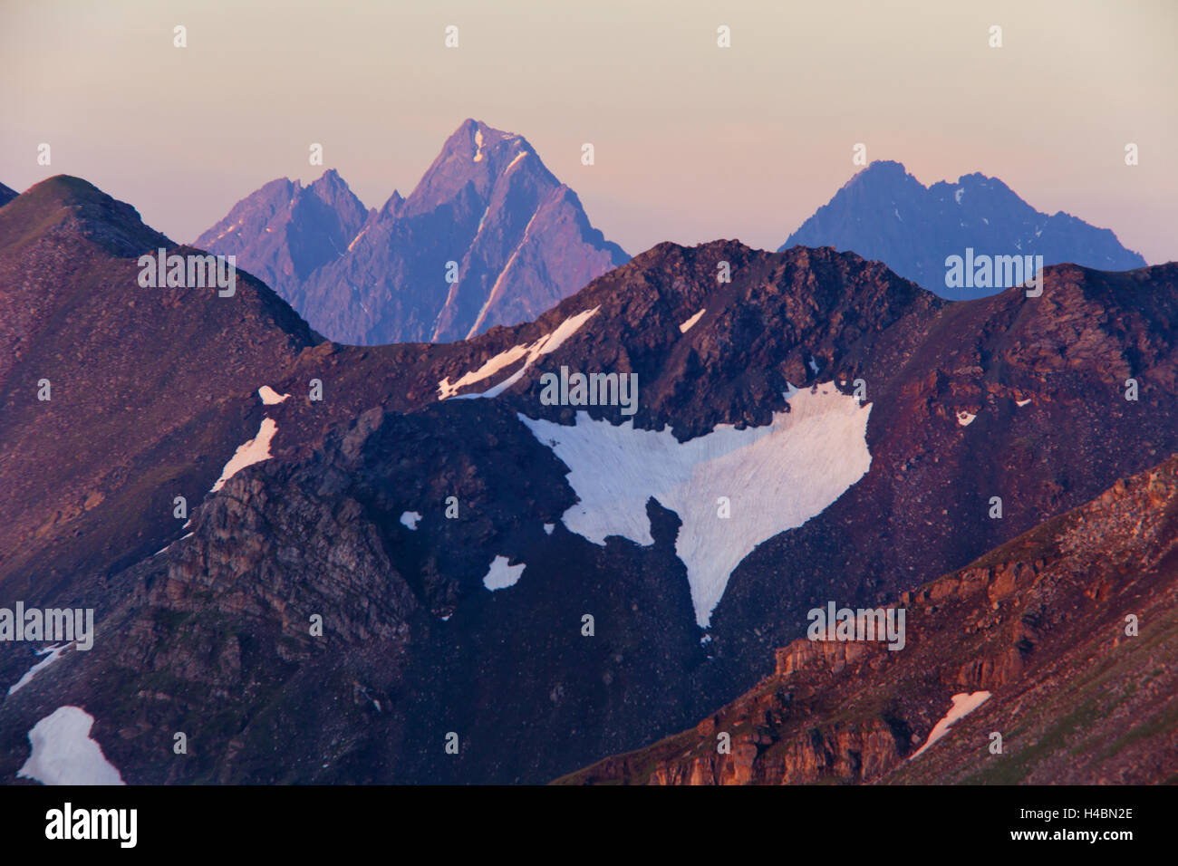 Graskopf -Fotos und -Bildmaterial in hoher Auflösung – Alamy