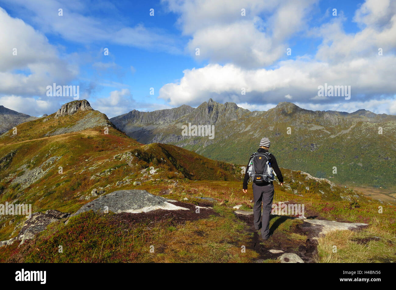Tjeldbergtinden, Austvagoya, Herbst, Berge, Gipfel, Wandern, Lofoten, Land im Norden, Norwegen Stockfoto
