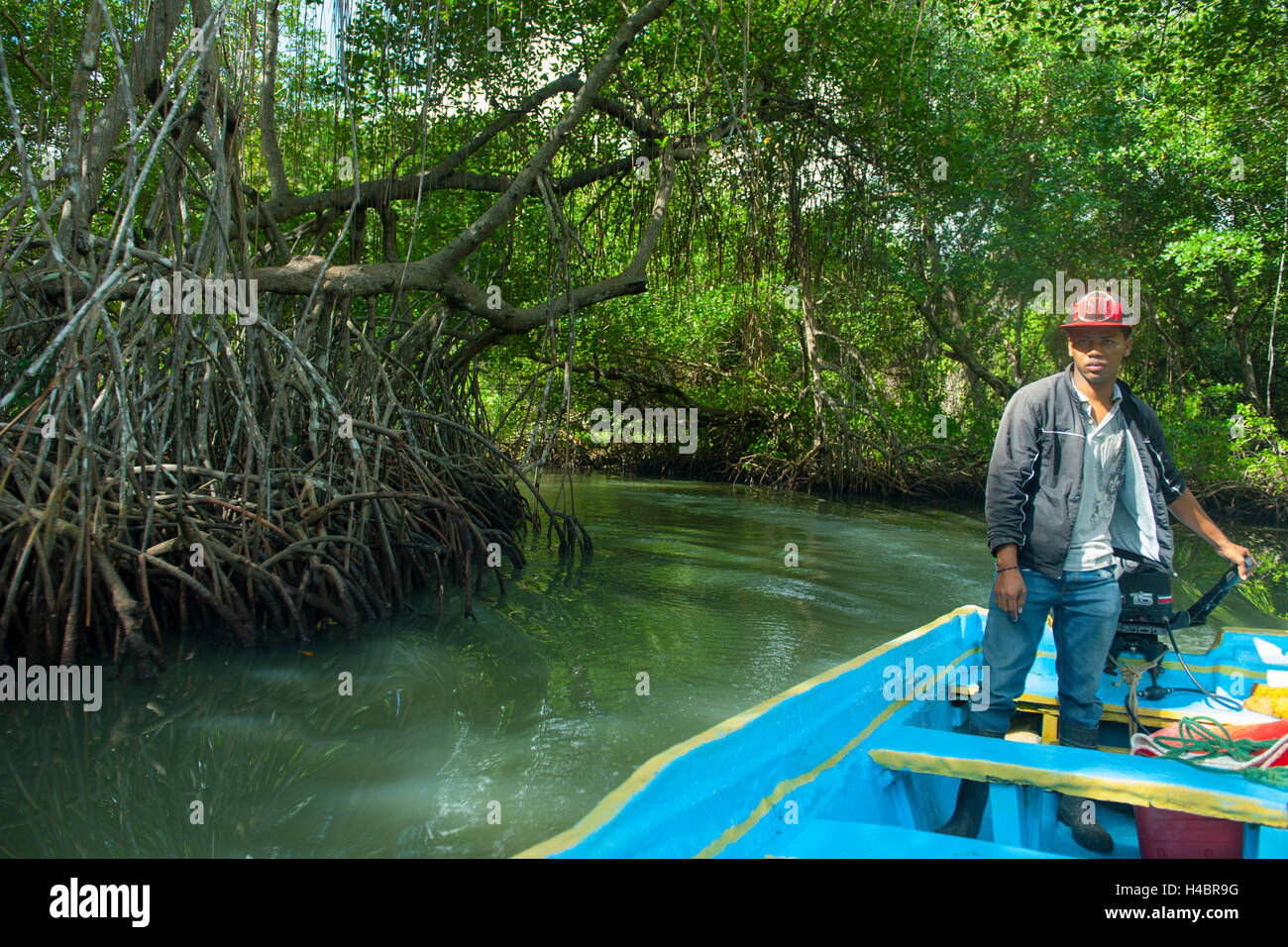 Der Dominikanischen Republik, im Osten, Sabana De La Mar, Nationalpark Batch Haitises, Bootsfahrt durch das Kanalsystem Cano Hondo Stockfoto