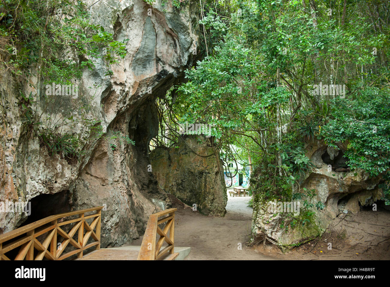 Der Dominikanischen Republik, im Osten, Sabana De La Mar, Nationalpark Batch Haitises, Weg in die Cueva La Arena in der Bucht von San Lorenzo Stockfoto