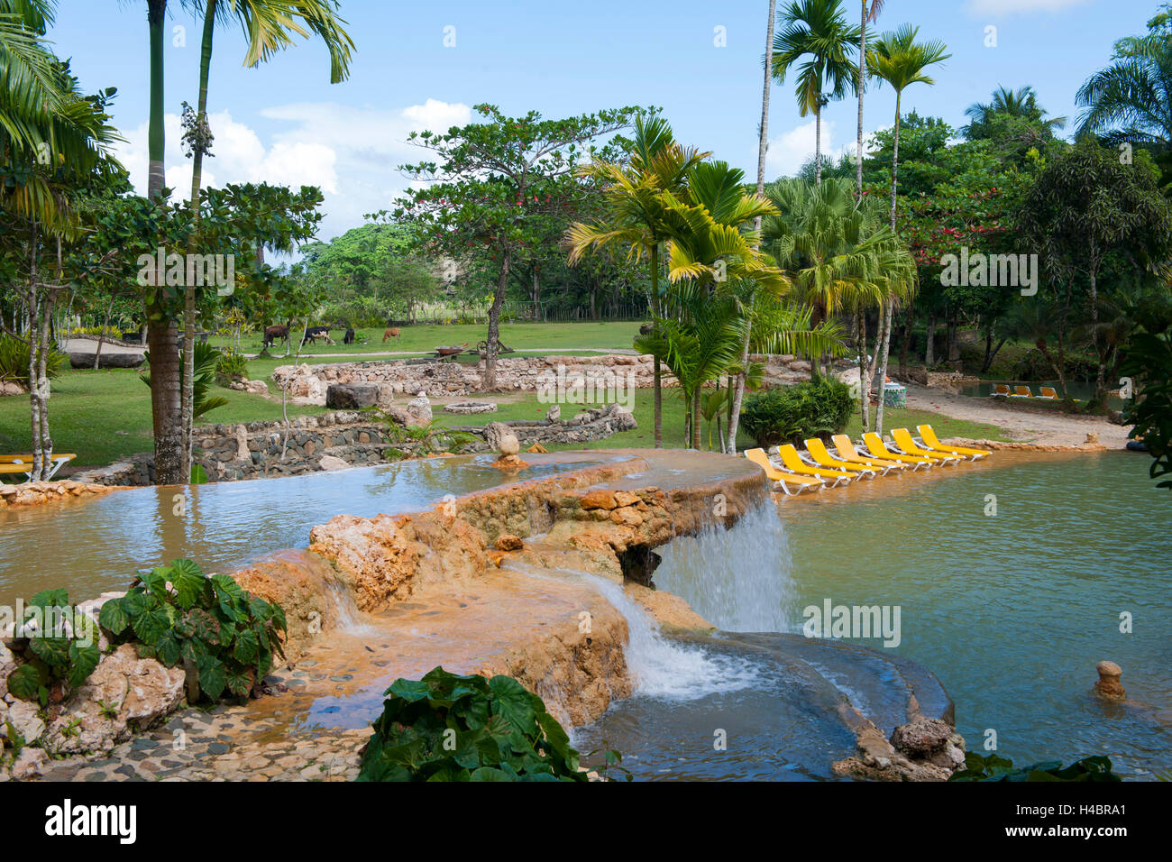 Der Dominikanischen Republik, im Osten, Sabana De La Mar, Garten des Hotel Paraiso Cano Hondo Stockfoto