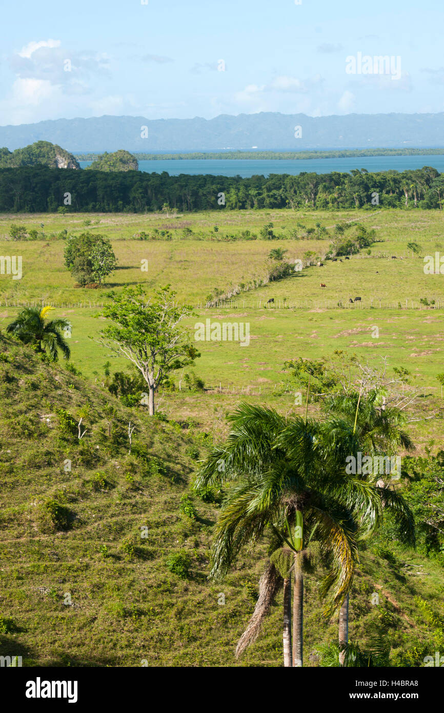 Der Dominikanischen Republik, im Osten, Sabana De La Mar, Blick von der Hotel Paraiso Cano Hondo über den Stapel Haitises Nationalpark und die Bucht von Samana auf der Halbinsel Samana Stockfoto