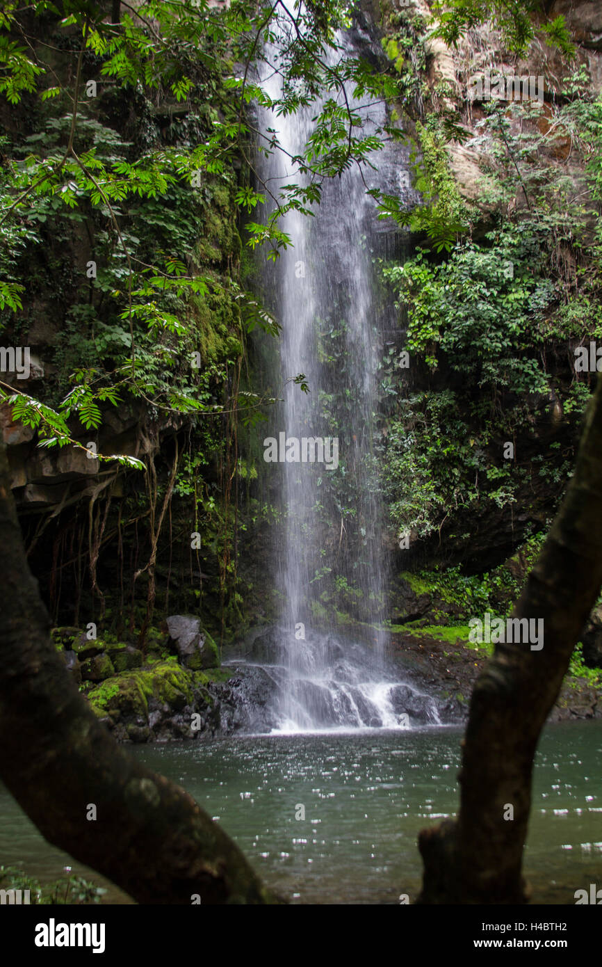 Einsam, versteckten Wasserfall in Rincon De La Vieja Stockfoto