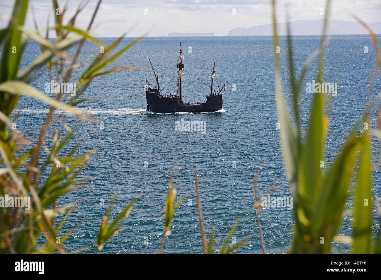 Madeira, cog 'Santa Maria' Stockfoto