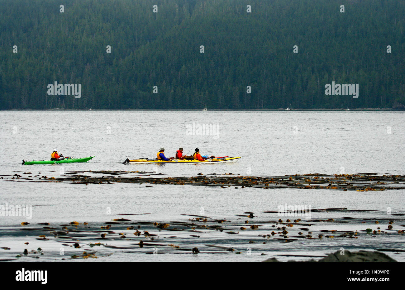 Kajaks in der Johnstone Strait. Vancouver Island. Britisch-Kolumbien. Kanada Stockfoto
