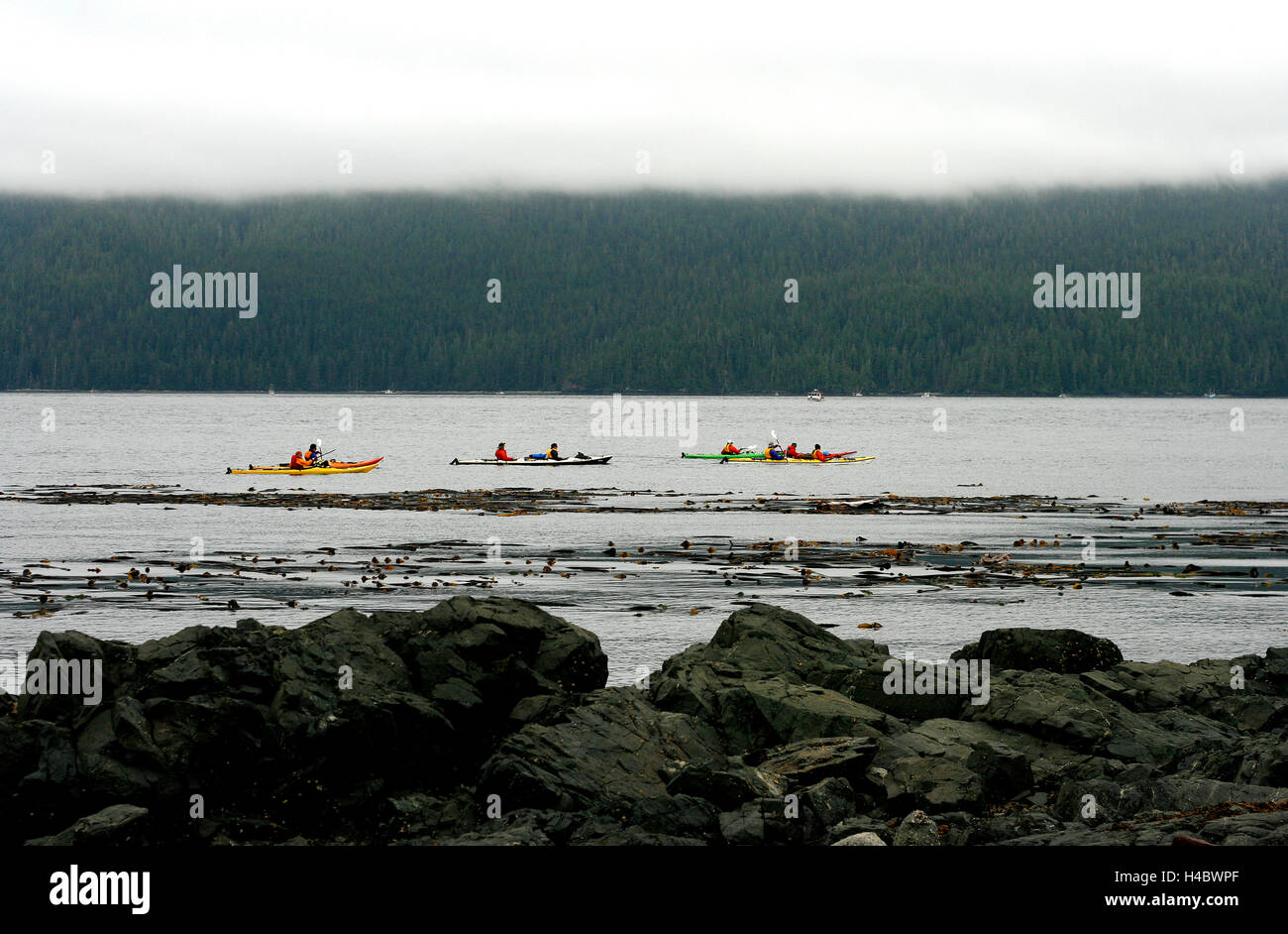 Kajaks in der Johnstone Strait. Vancouver Island. Britisch-Kolumbien. Kanada Stockfoto
