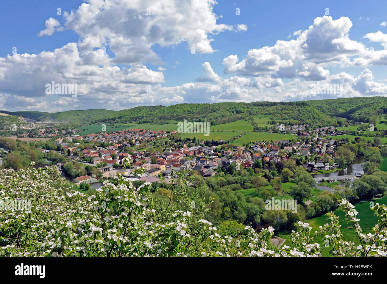 Terrassen der Dornburg Burgen, Kalkfelsen, Saale, auf Dornburg, Saaletal, bewaldeten Höhen, Thüringer Wald Stockfoto