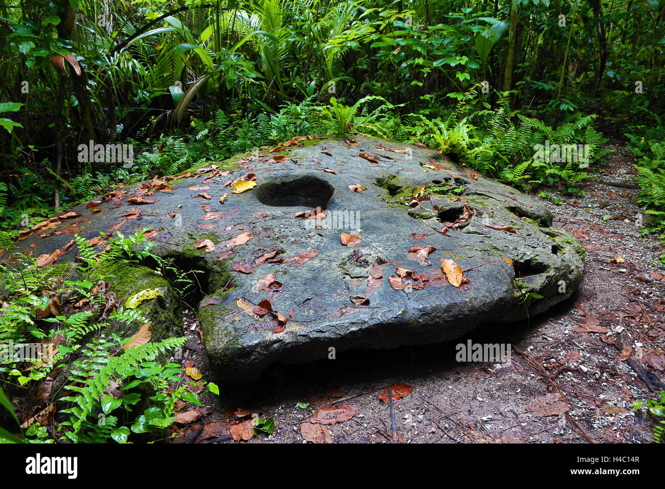 Stein-Geld-Rock-Formation, Carp Island, Republik Palau, Mikronesien, Pazifik Stockfoto