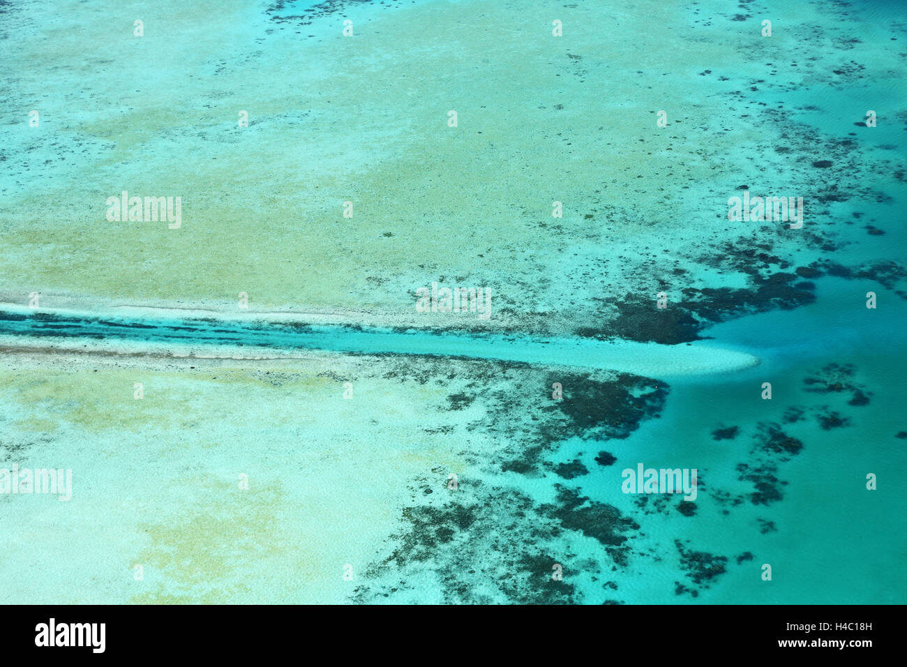 Französische Sender Amd Riff auf dem Archipel von Inseln der Republik Palau, Mikronesien, Palau, Pazifik Stockfoto