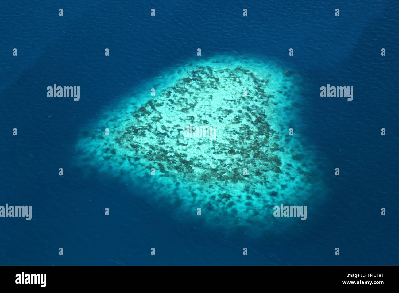 Luftaufnahme der ein Herz geformt Insel und Riff, Republik Palau, Mikronesien, Pazifik Stockfoto