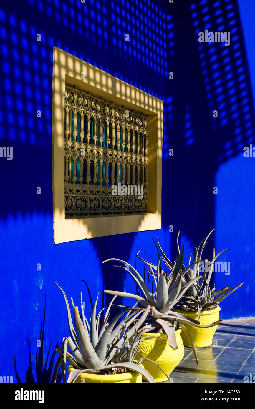 Majorelle Garten im Besitz von Yves Saint Laurent in Marrakesch