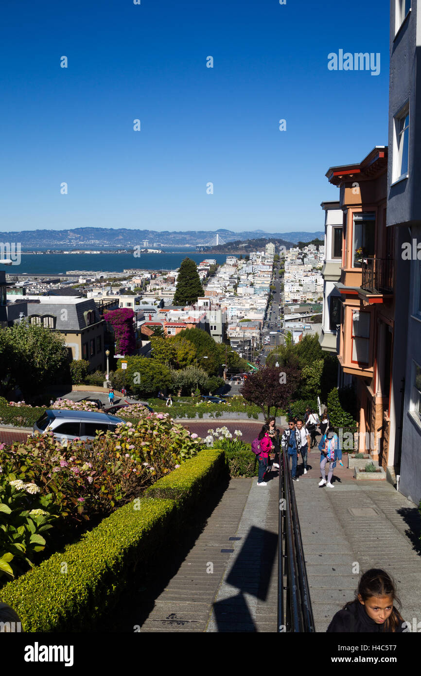Blick vom Lombard Street auf Downtownn San Francisco, Kalifornien, USA. Stockfoto