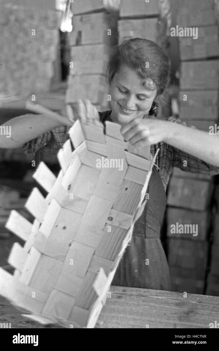 Arbeiterin in der Bühler Spankorbfabrik, sterben sterben wie Für Die Erdbeerernte Liefert Deutschland 1930er Jahre. Arbeitnehmerin in der Fabrik der Korb Fabrik bauen, produzieren die Körbe für die Erdbeerernte in Buehl, Deutschland der 1930er Jahre Stockfoto