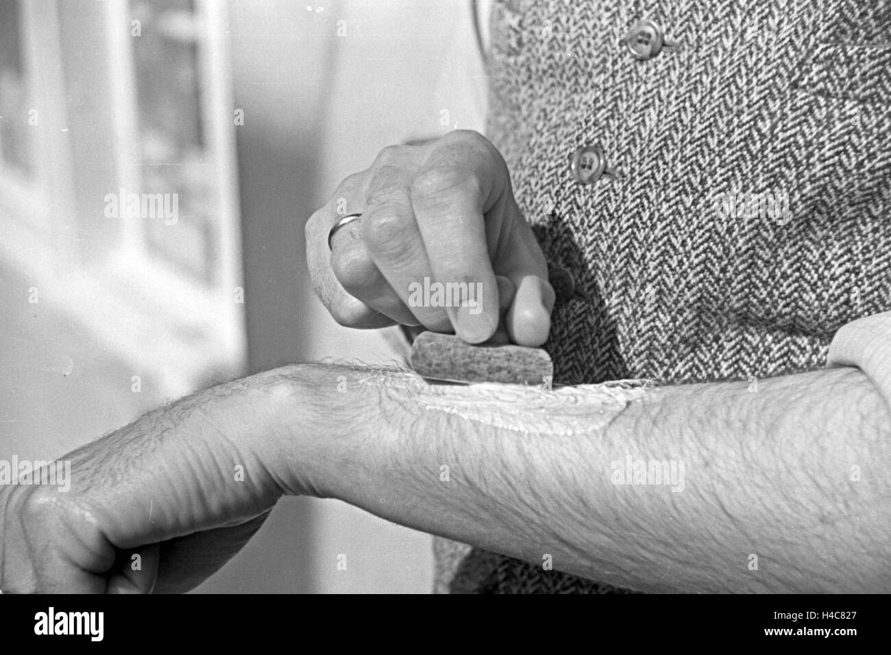 Gewinnung von Bienengift Bei der Pharmafirma Mack in Illertissen, Deutschland 1930er Jahre. Gewinnung von Bienengift bei Mack Pharmceutical Company in Illertissen, Deutschland der 1930er Jahre Stockfoto