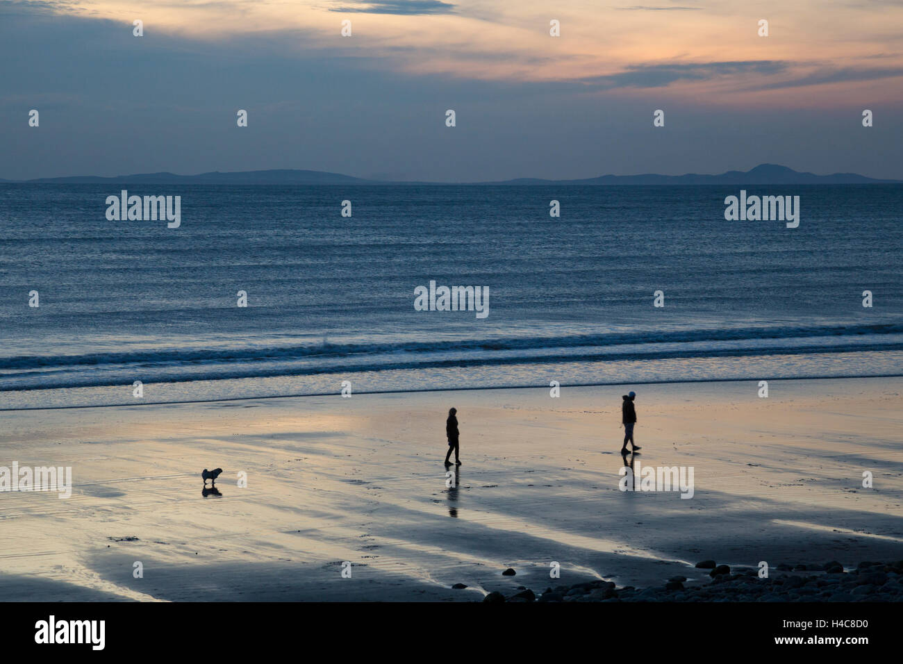 Einen abendlichen Spaziergang mit dem Hund an der britischen Küste, England, UK Stockfoto