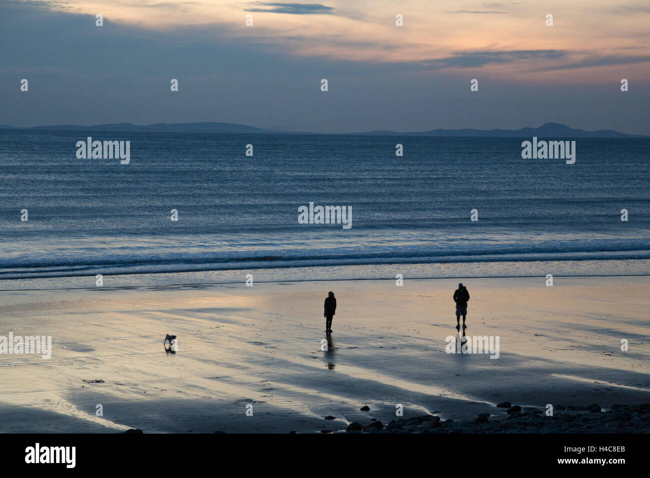 Einen abendlichen Spaziergang mit dem Hund an der britischen Küste, England, UK Stockfoto