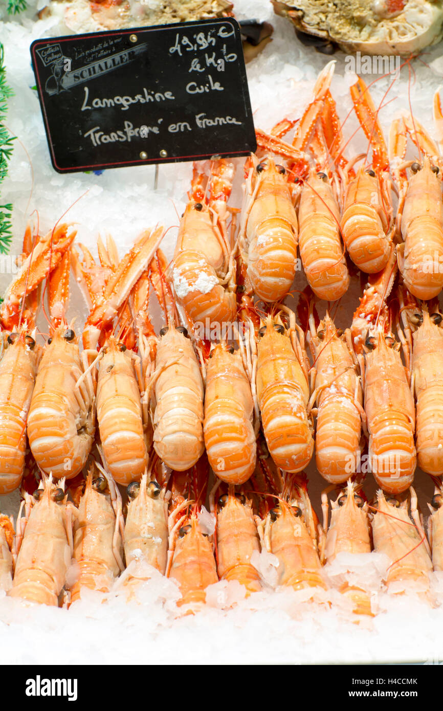 Imperial Granat, Scampi, Nephrops Norvegicus bedeckt met Cerium Markt, Metz, Département Moselle, Region Champagne-Ardenne-Elsass-Lothringen, Frankreich, Stockfoto