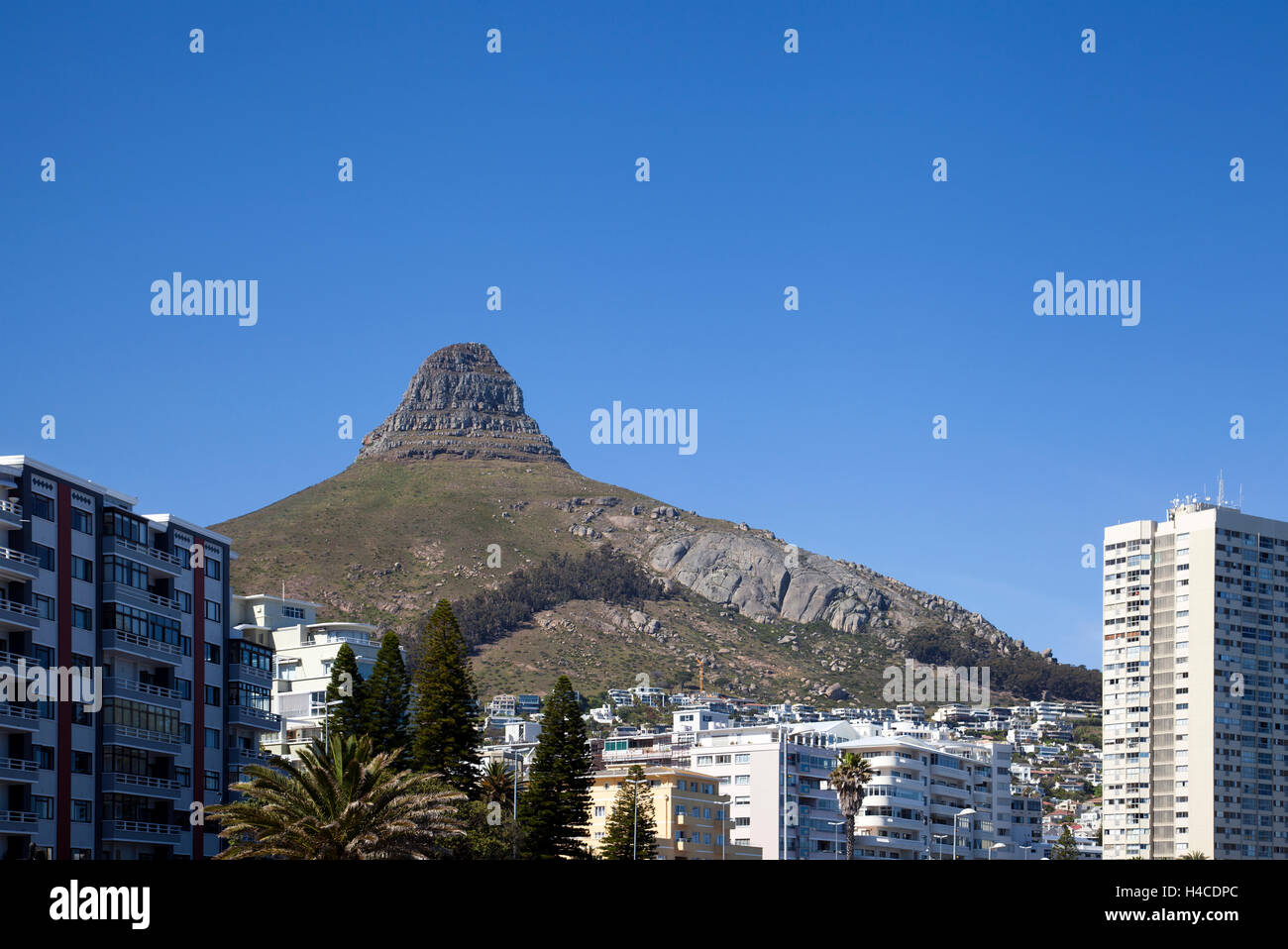 Gebäude entlang der Sea Point Promenade mit Löwen Kopf hinter - Cape Town - Südafrika Stockfoto