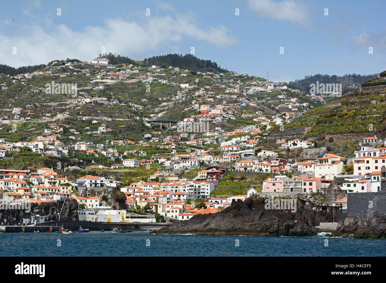 Madeira, Küstenlandschaft von Camara de Lobos Stockfoto