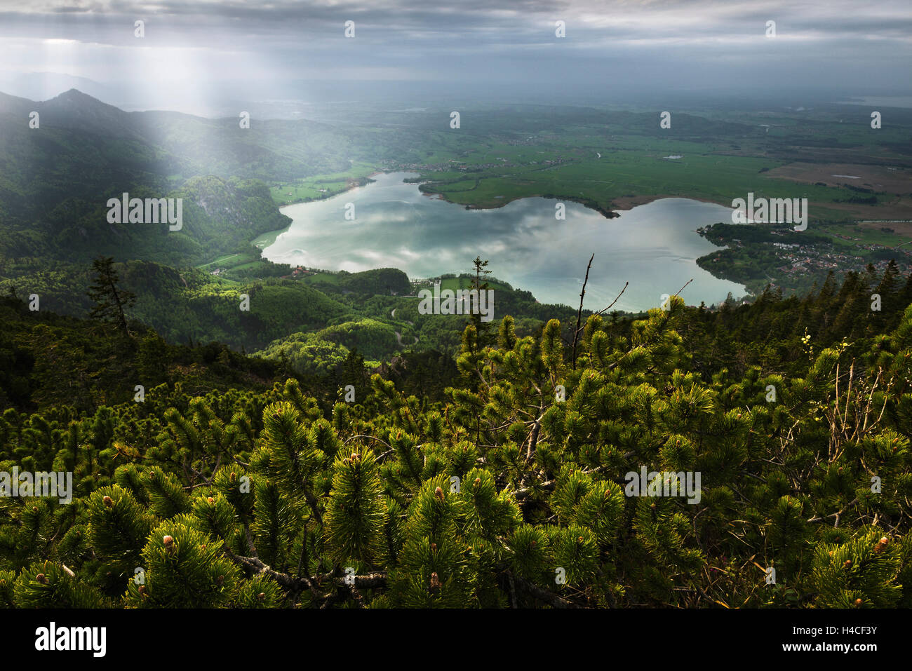 Deutschland, Bayern, Alpen, Kochelsee, Berge, Gebirge, Ansicht, Scheinwerfer, Strahlen, Licht, Sonne, See, Kiefer, Frühling, grün, Holz, Bäume, Land, Landschaft, Panorama, malerischen, mystische, magische Stockfoto