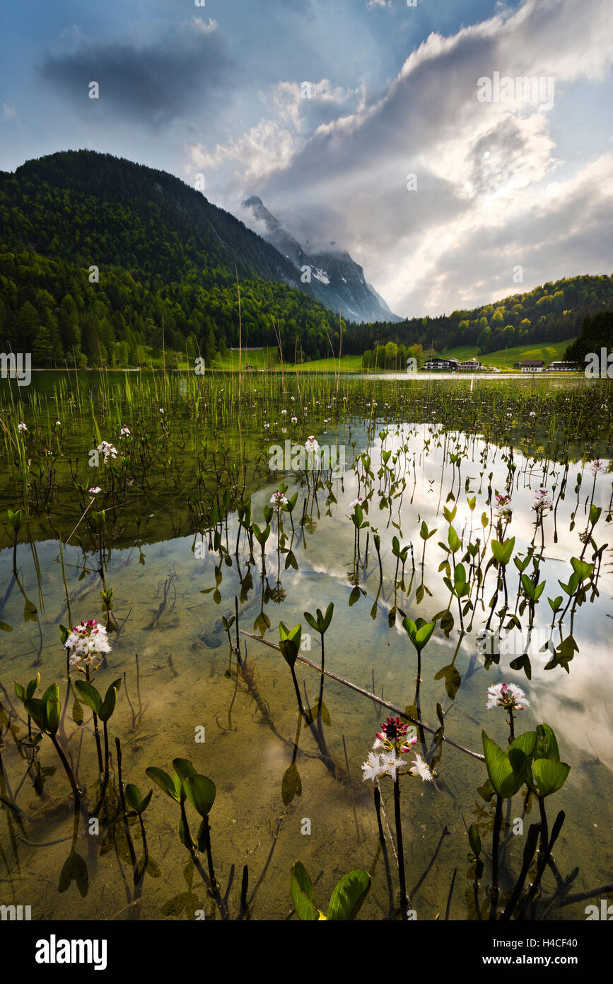 Deutschland, Bayern, Alpen, Wettersteingebirge, Berge, Gebirge, Holz, See, Moor, Sumpf, Lautersee-See, in der Nähe von Mittenwald, Stockfoto