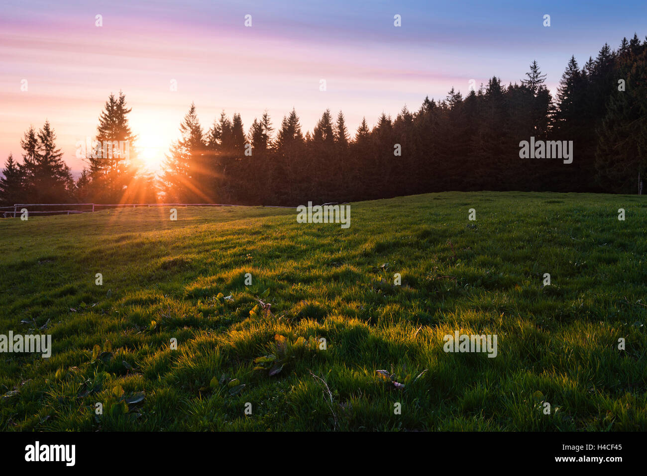 Deutschland, Bayern, Auerberg, Wiese, Gebirge, Allgäu, magisch, Licht, Gegenlicht, Sonne, Sonne Sterne, Sonnenaufgang, Morgen, Licht, Schatten, Holz, Stimmung, mystisch, Panorama, Landschaft, Natur, Stockfoto