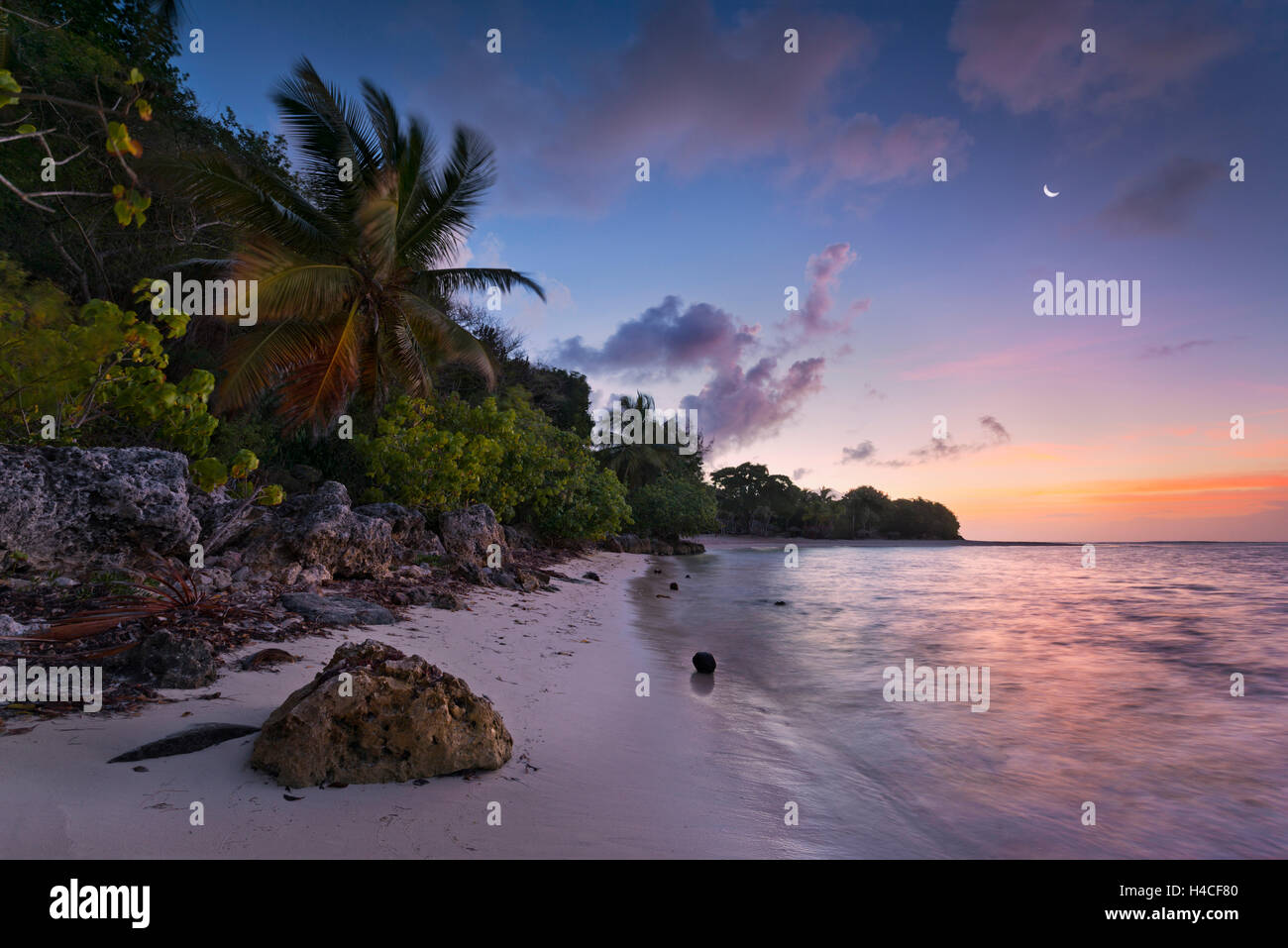 Guadeloupe, Frankreich, der Karibik, Insel, Strand, Palmen, Meer, Sonnenaufgang, Stimmung, Morgen, blaue Stunde, Anse, Rochers, tropisch, Licht, Farbe, Vegetation, Wild, weite, Stein, Kokosnuss, Paradies, Landschaft, Wunderland Stockfoto
