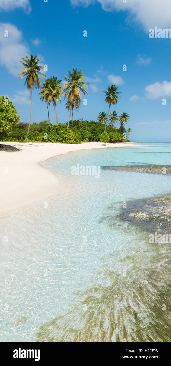 Guadeloupe, Frankreich, der Karibik, Insel, Basse-Terre, tropisch, Stockfoto