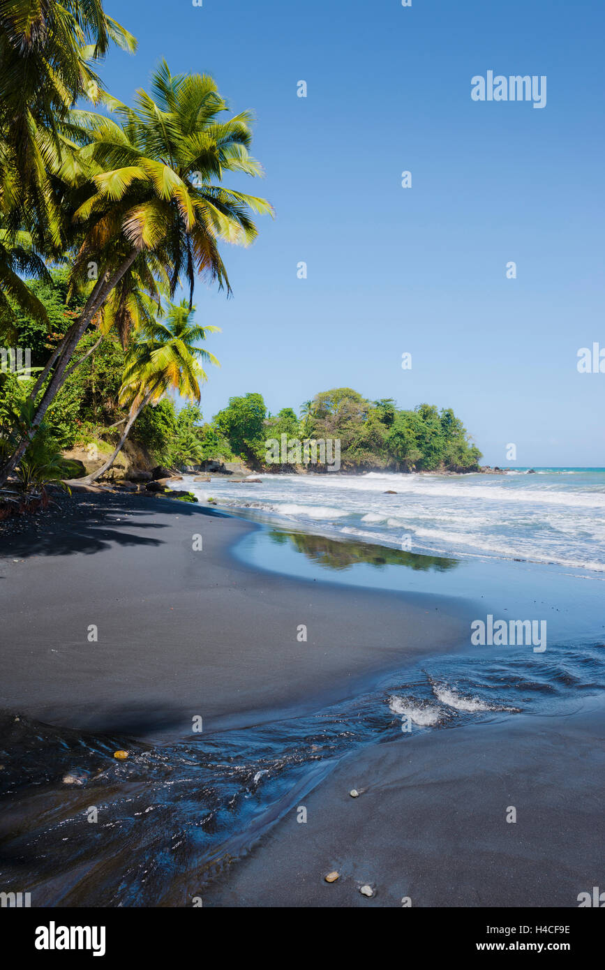 Guadeloupe, Frankreich, der Karibik, Insel, Strand, Sand, schwarz, Lava, Meer, Wellen, Palmen, Stockfoto