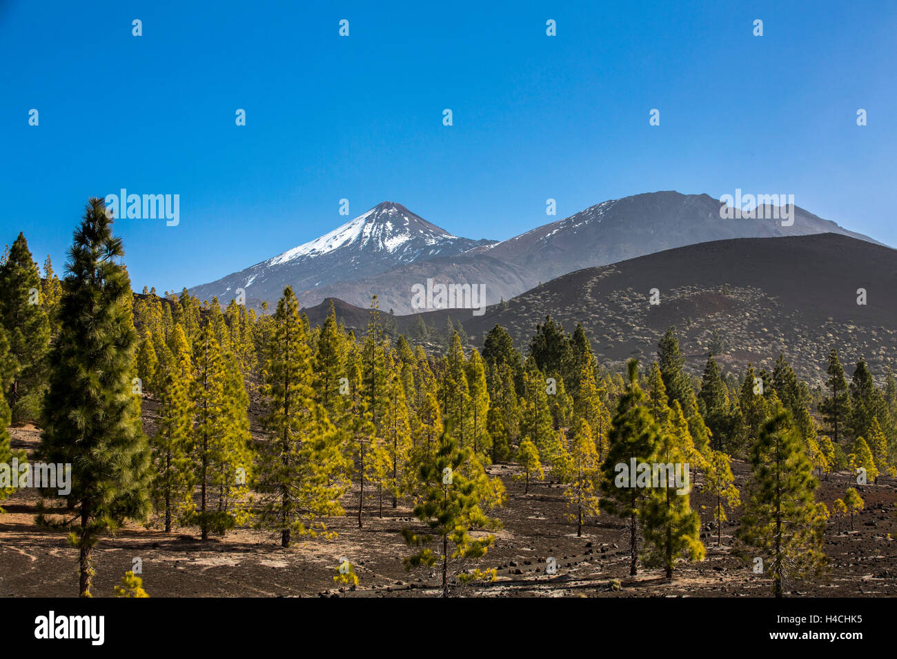 Spanien, Kanarische Inseln, Teneriffa, El Teide, Nationalpark, Lava, Vulkan Stockfoto