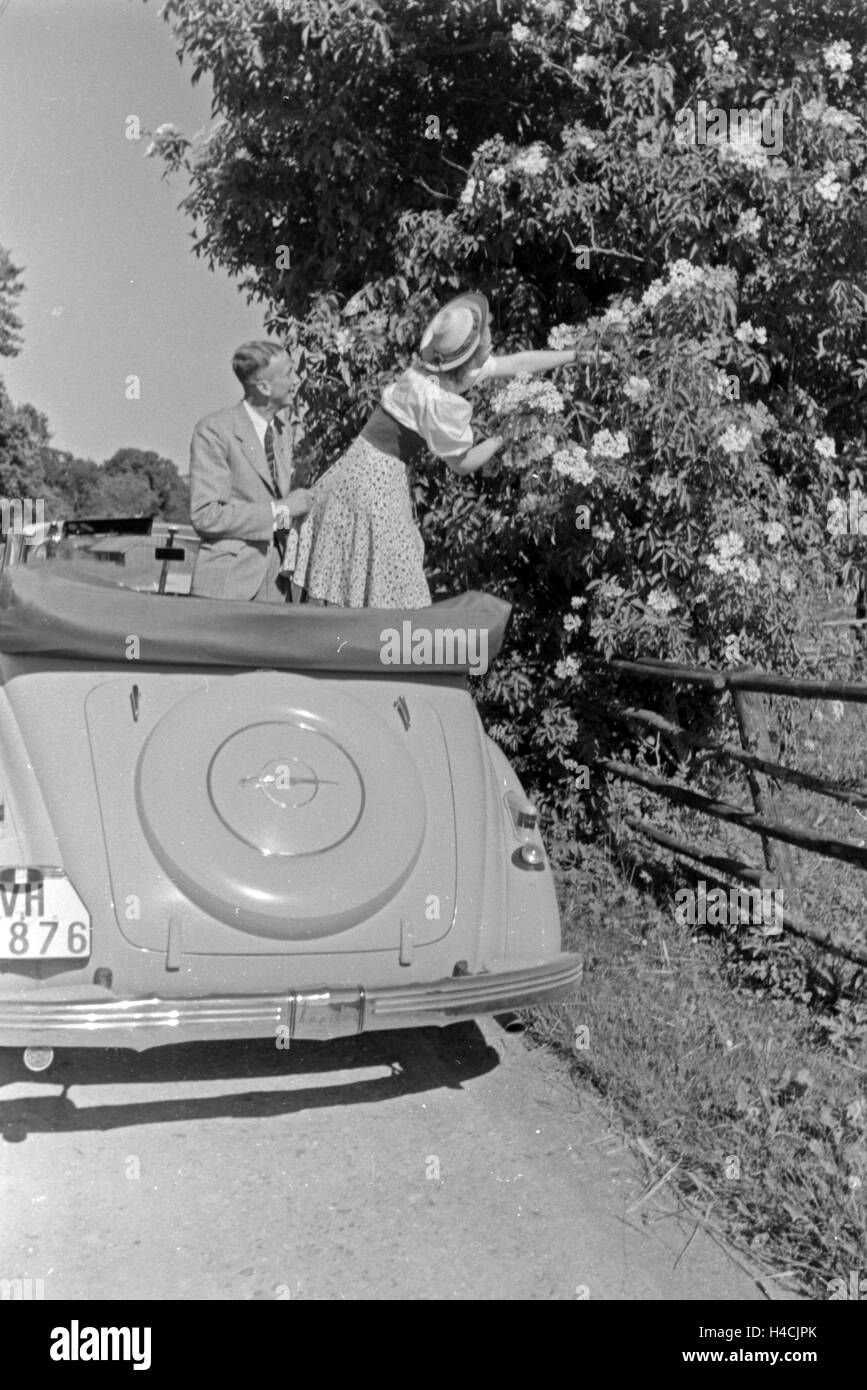 Sterben Sie Österreichische Schauspielerin Gusti Wolf Macht Ferien Auf Dem Lande, Deutschland 1930er Jahre. Österreichische Schauspielerin Gusti Wolf im Urlaub auf dem Lande, Deutschland der 1930er Jahre Stockfoto