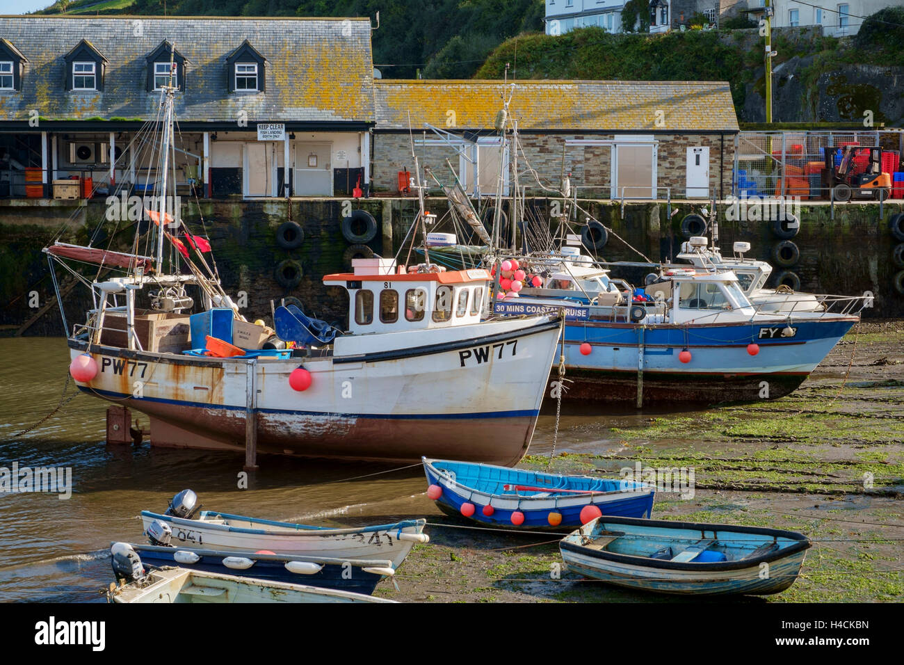 Fischerboote im Hafen von Mevagissey bei Ebbe, Cornwall, England, Großbritannien Stockfoto