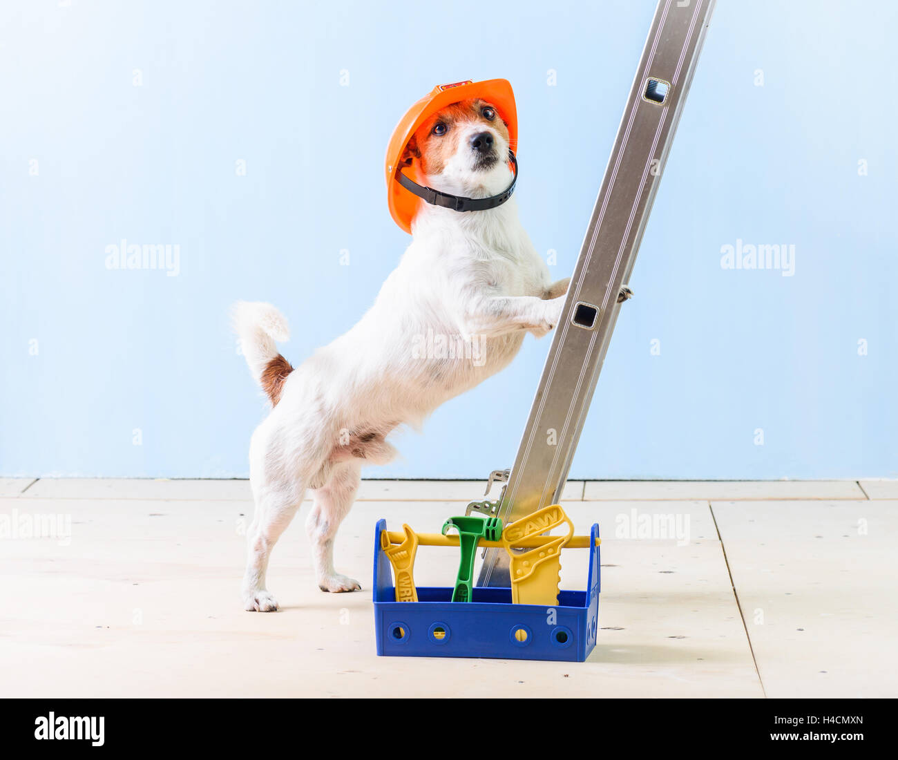 Humor-Arbeiter mit Kiste voller Werkzeuge auf Leiter stehend Stockfoto