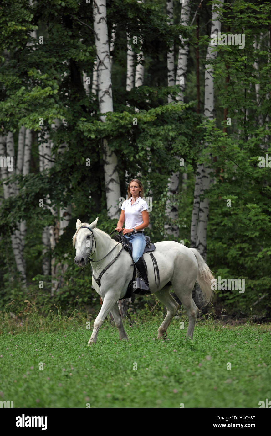 Cowgirl auf dem Pferderücken in Wald Stockfoto