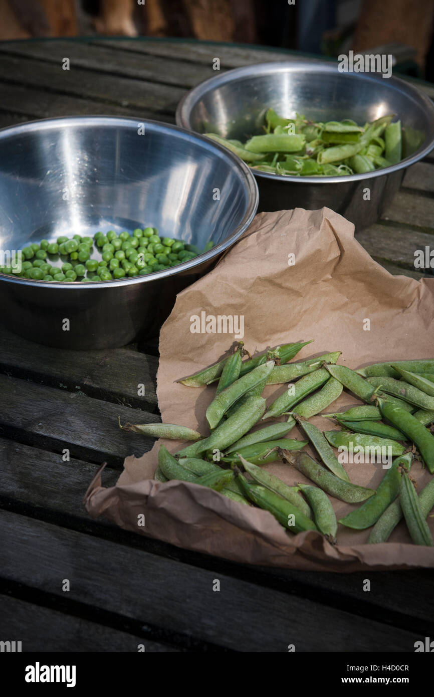 Erbsen und Schoten in Schalen auf Gartentisch Stockfoto