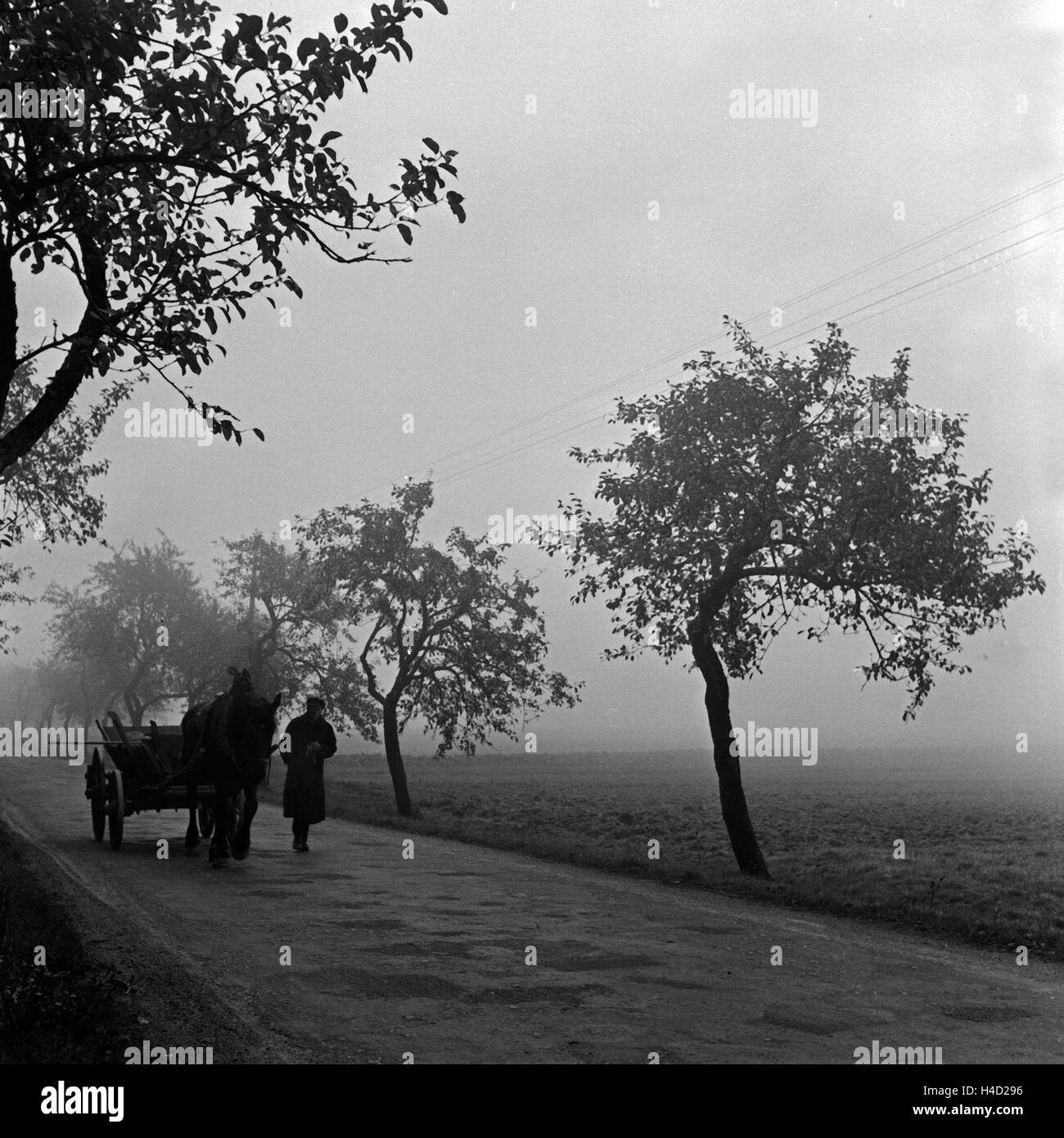 Ein Bauer aus der Eifel ist schön bin Frühen Morgen Im Nebel Mit seit Fuhrwerk Unterwegs, 1930er Jahre Deutschland. Ein Bauer aus der Eifel auf seinem Weg in den frühen Morgennebel, Deutschland der 1930er Jahre. Stockfoto