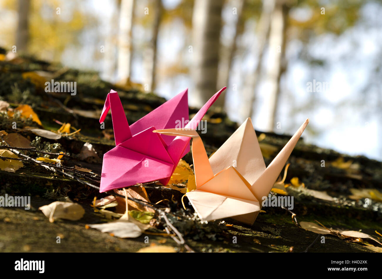 Zwei Origami-Kraniche in der Natur Stockfoto