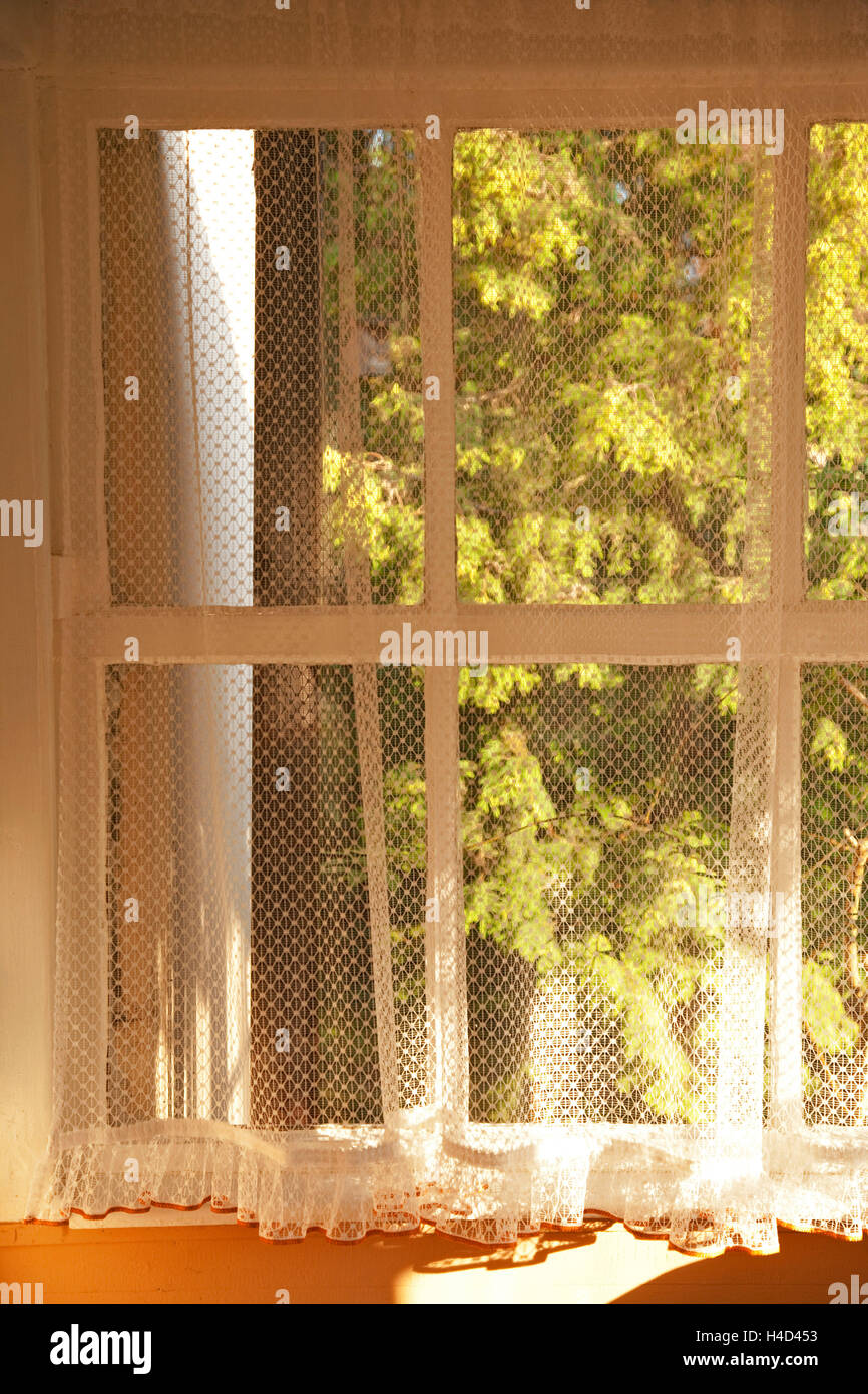 Fensterbank, Fenster, Spiegel Fenster, Vorhang Stockfotografie - Alamy