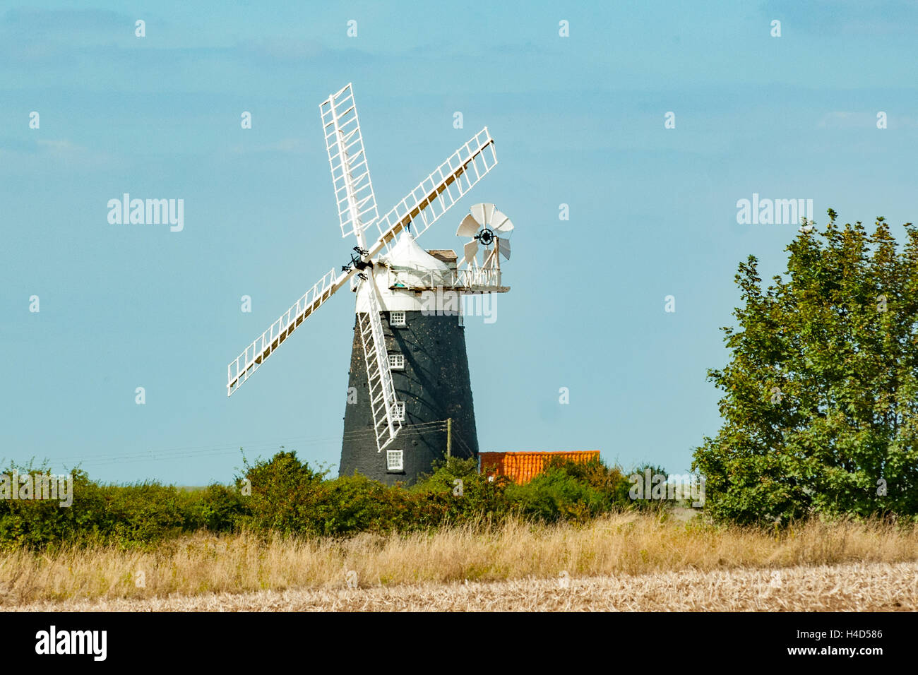 Turm, Windmühle, Burnham Overy Staithe, Norfolk, England Stockfoto