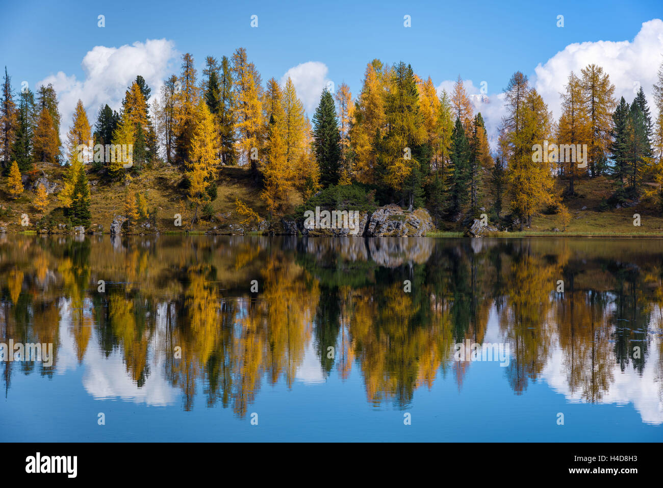 Bergsee, Spiegelung, Herbst, Farbe der Blätter, Lago Federa, Dolomiten, Italien Stockfoto