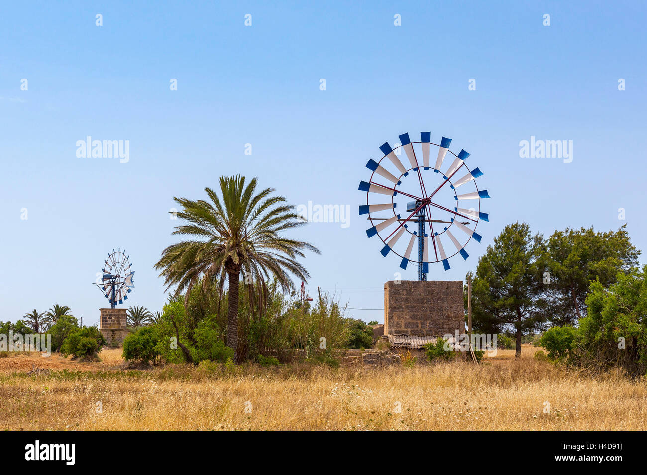 Windkraftanlagen in der Nähe Llucmajor, Insel Mallorca, Balearen, Spanien, Europa Stockfoto