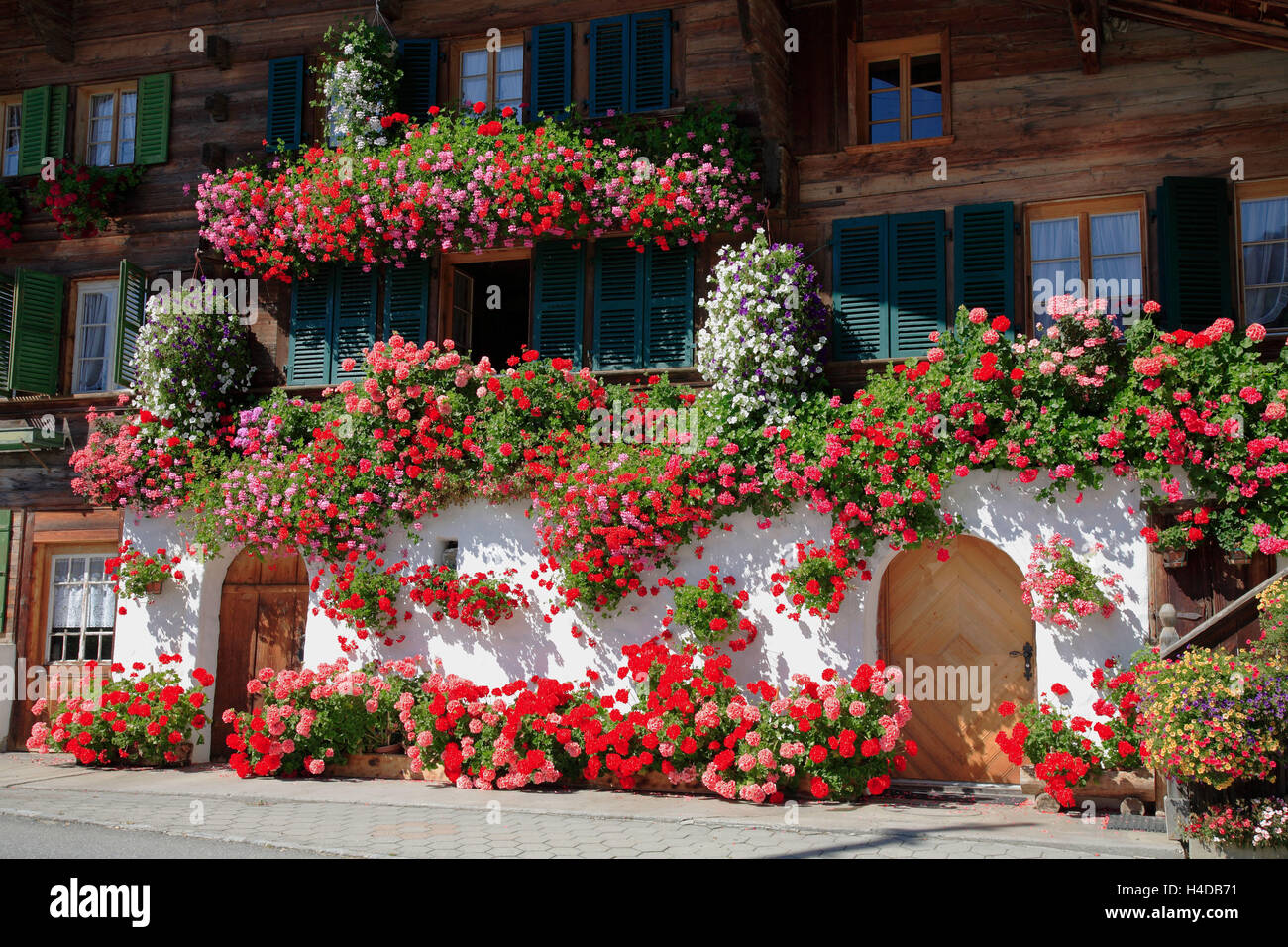 Simmentaler Bauernhaus mit Blumenschmuck, enge Erle Bach im Simmental, Berner Oberland, Schweiz Stockfoto