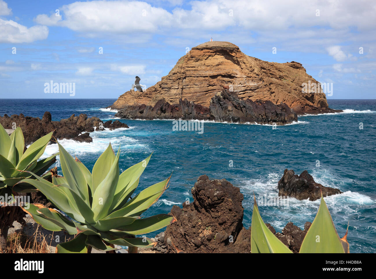 Porto Moniz an der Nordwestküste der Insel Madeira, Blick auf die kleine vorgelagerte Insel Ilhéu mole Stockfoto