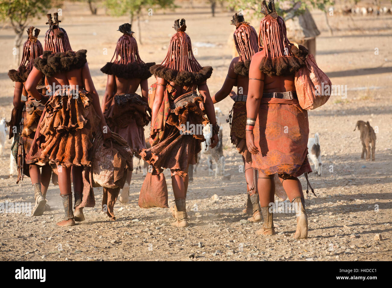 Himba-Frauen gehen zurück in das Dorf in der Nähe von Opuwo Stadt in Namibia, Südafrika Stockfoto