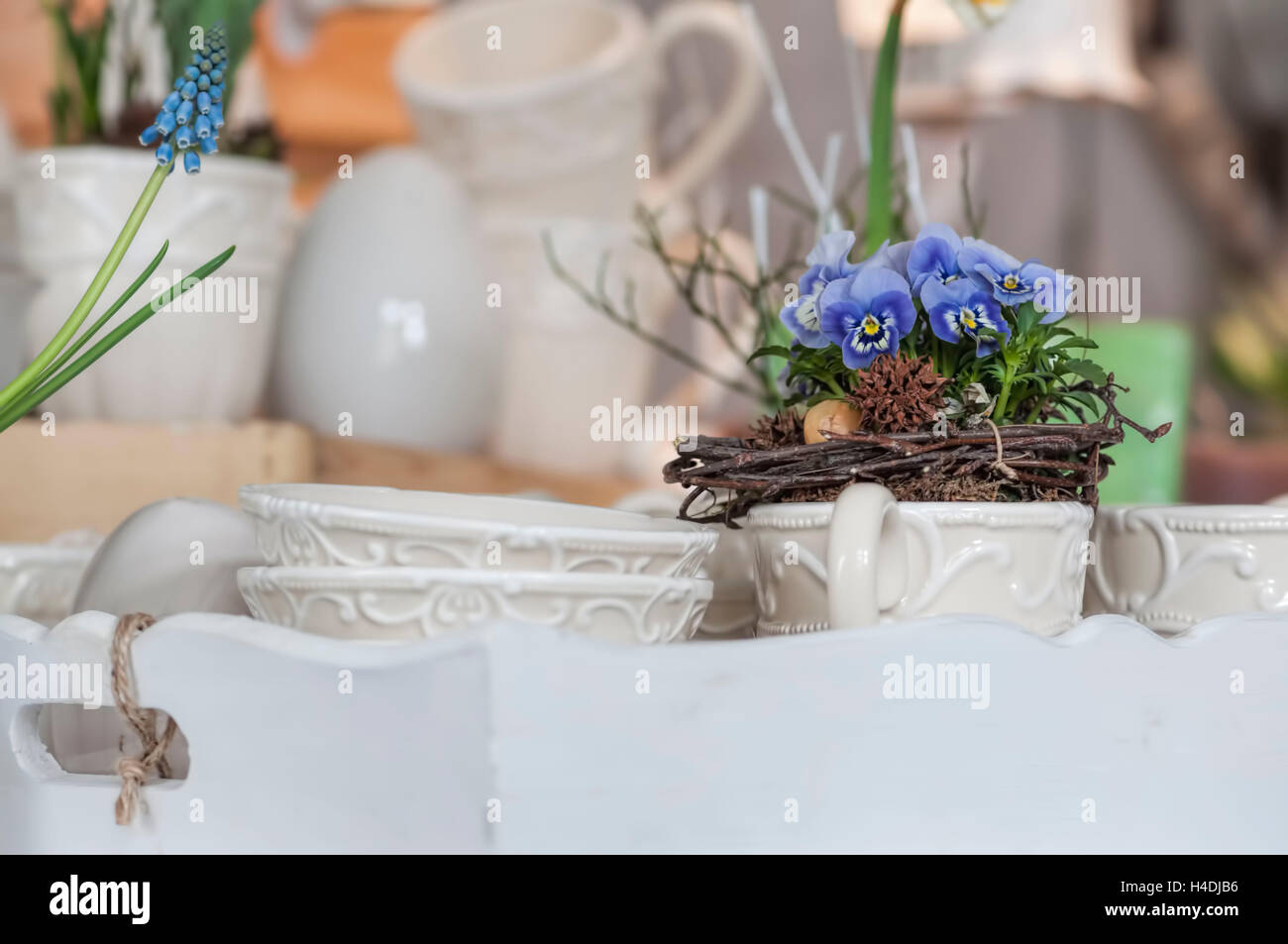 Mittlere Nahaufnahme, Stillleben, Dekoration, weiße Tassen auf Tablett mit frühlingshaften Gesteck Blume aus Stiefmütterchen und Muscari, Hauptfarbe weiß und Creme Stockfoto