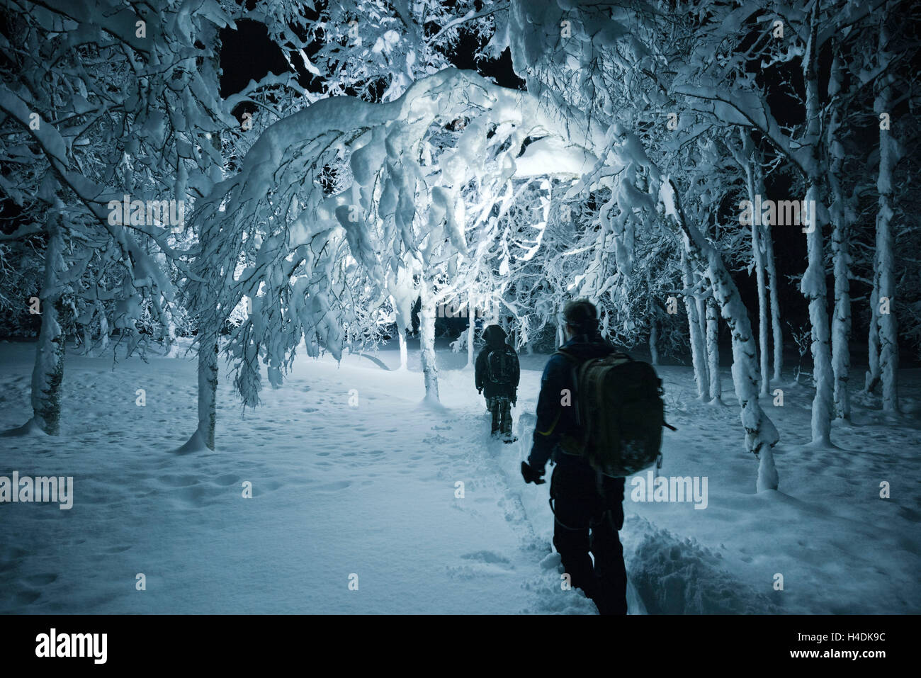 Nachtwanderung im Schnee bedeckten Holz in Skandinavien, Norwegen Stockfoto